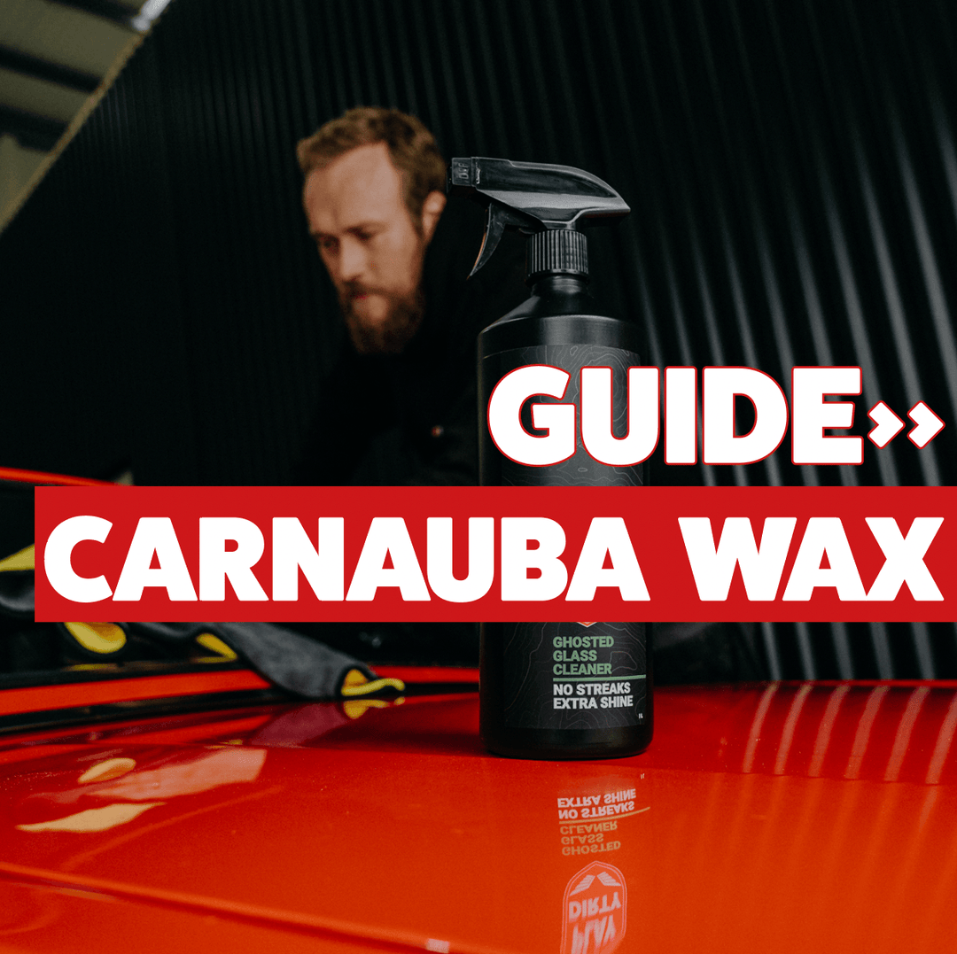 Carnauba Car Wax: The Secret to Protecting Your Vehicle Against the Elements - Wildworx